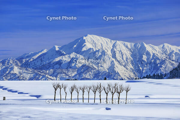 越後三山とはさ木 [NHI110040549]