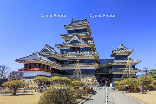 松本城と雪吊り [NHI110040563]
