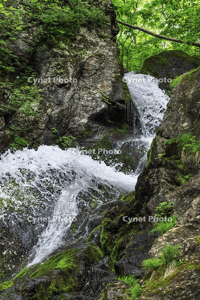 七折の滝 [NHI110041591]