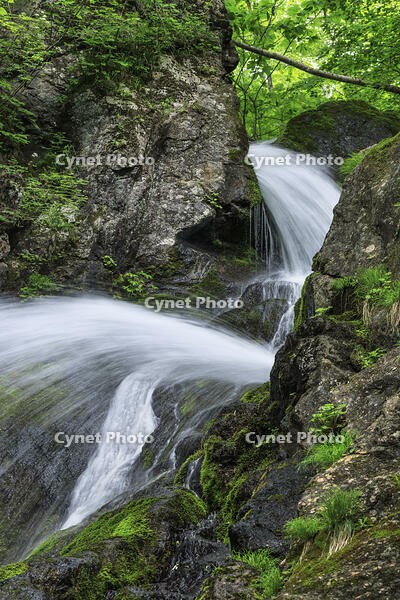 七折の滝 [NHI110041593]