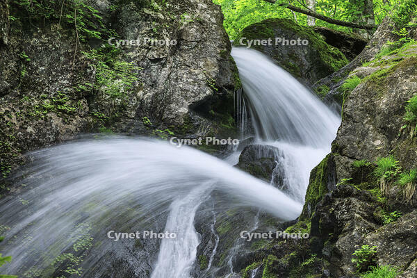 七折の滝 [NHI110041597]