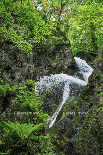 七折の滝 [NHI110041601]