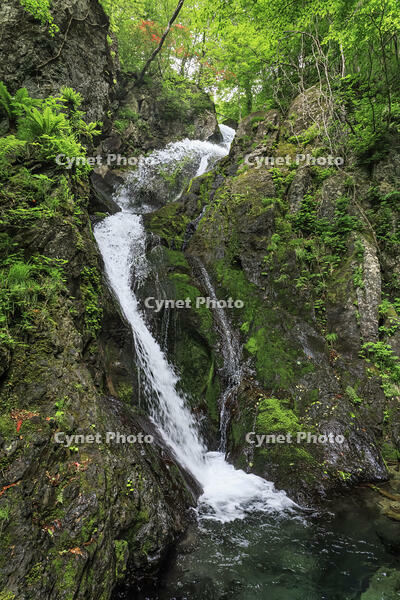 七折の滝 [NHI110041604]