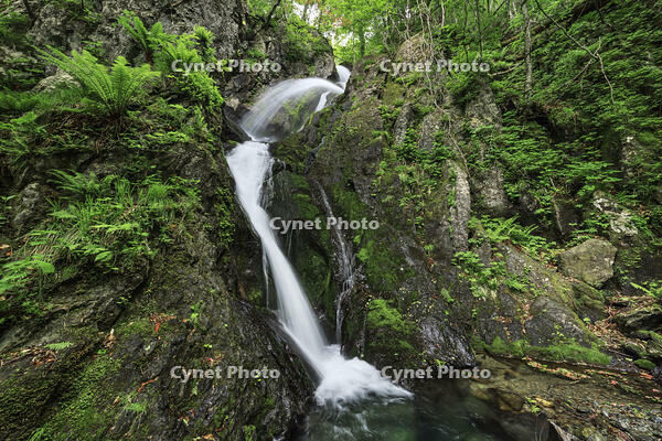 七折の滝 [NHI110041607]