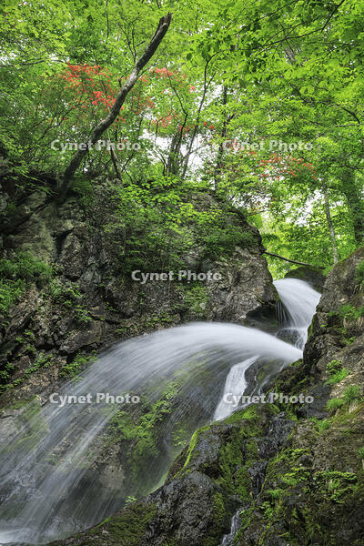 七折の滝 [NHI110041612]