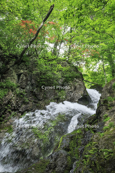 七折の滝 [NHI110041613]