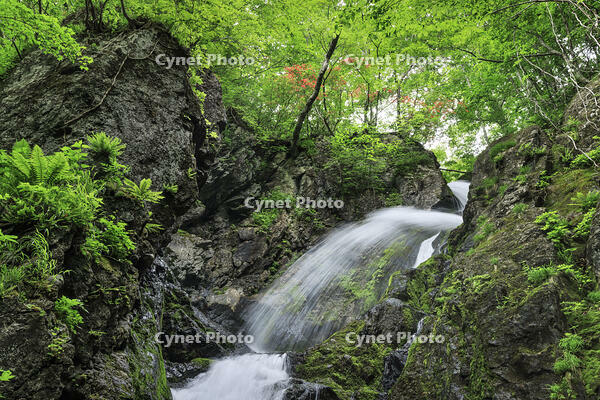 七折の滝 [NHI110041616]