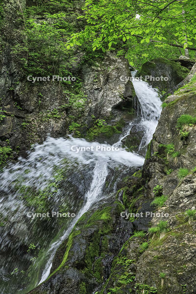 七折の滝 [NHI110041619]