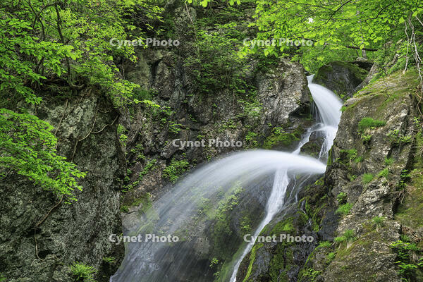 七折の滝 [NHI110041622]