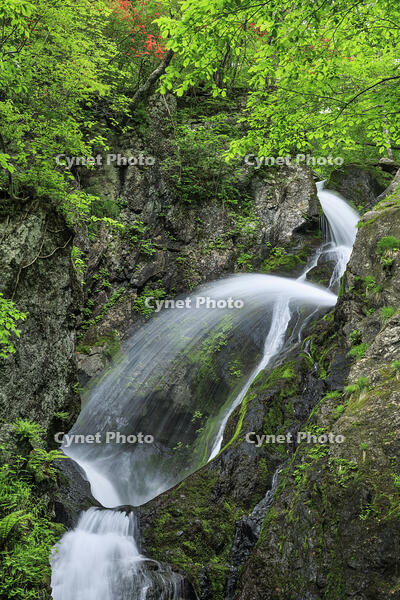 七折の滝 [NHI110041623]