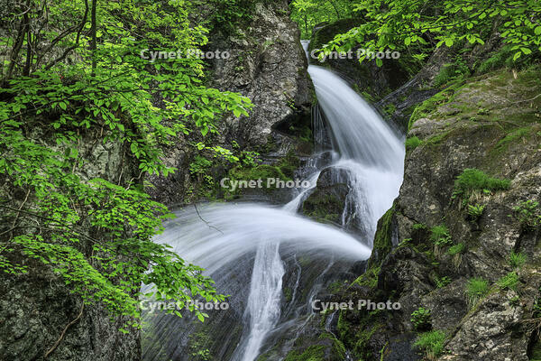 七折の滝 [NHI110041628]