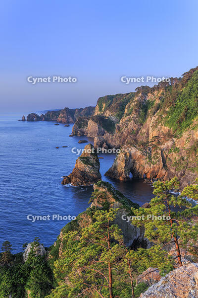 朝日に照らされた北山崎 [NHI110041644]