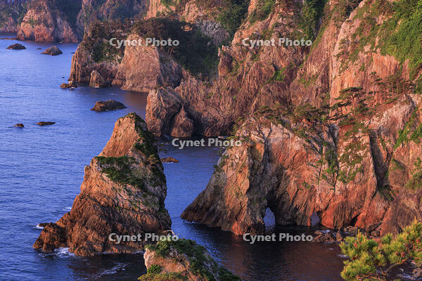 朝日に照らされた北山崎 [NHI110041648]