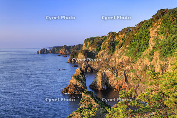 朝日に照らされた北山崎 [NHI110041652]