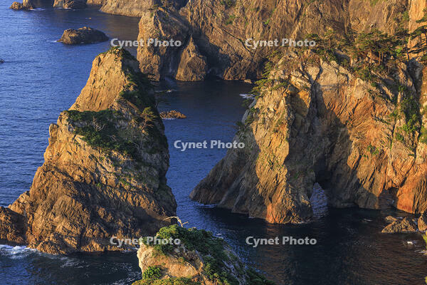 朝日に照らされた北山崎 [NHI110041654]