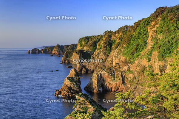 朝日に照らされた北山崎 [NHI110041655]