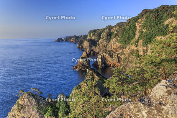 朝日に照らされた北山崎 [NHI110041657]