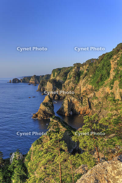 朝日に照らされた北山崎 [NHI110041658]