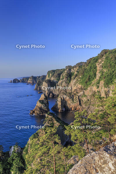 北山崎 [NHI110041660]