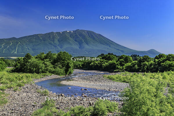 岩手山と葛根田川 [NHI110041668]