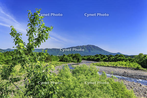 岩手山と葛根田川 [NHI110041670]