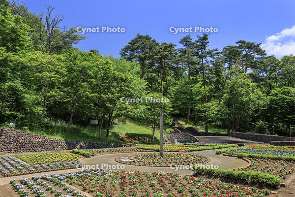 ポランの広場 [NHI110041679]