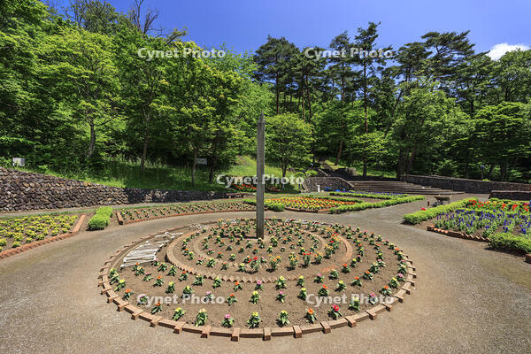 ポランの広場 [NHI110041681]