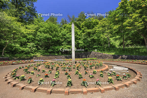 ポランの広場 [NHI110041683]