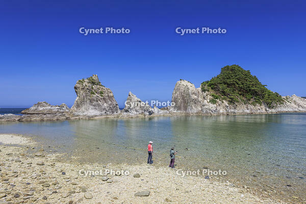 浄土ヶ浜 [NHI110041708]