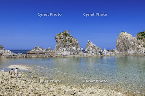 浄土ヶ浜 [NHI110041709]