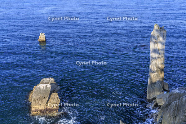 折石 [NHI110041711]