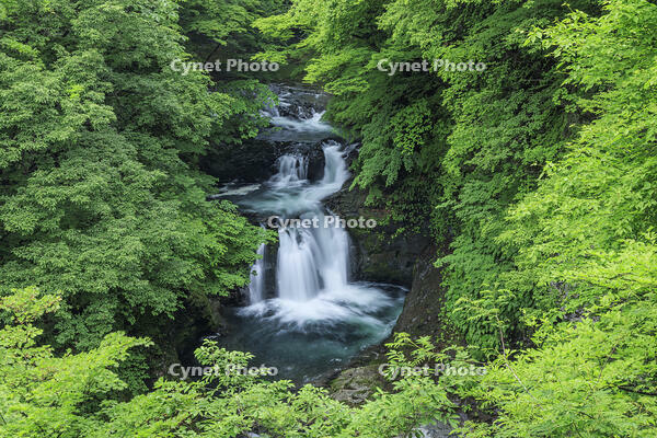 鳳鳴四十八滝 [NHI110041715]