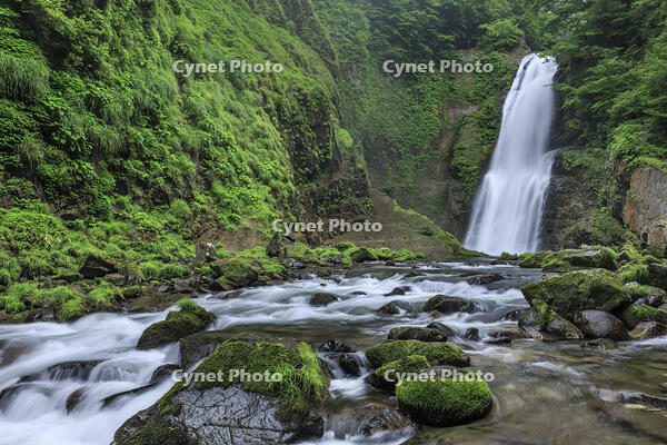 秋保大滝 [NHI110041718]