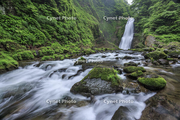 秋保大滝 [NHI110041720]