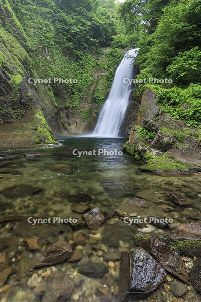 秋保大滝 [NHI110041723]