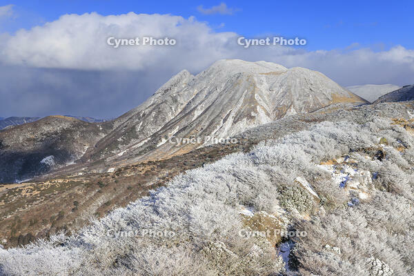 雪化粧した沓掛山から望む三俣山 [NHI110042026]