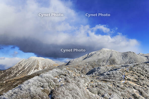 雪化粧した沓掛山から望む三俣山 [NHI110042028]