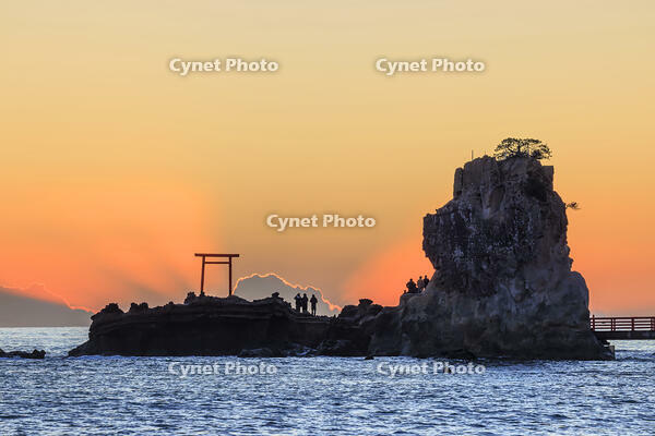 波立海岸の弁天島 [NHI110042689]