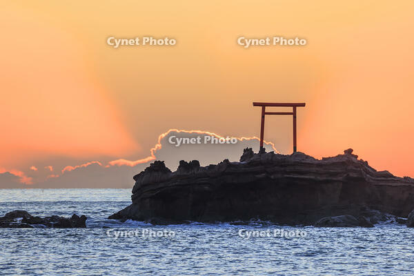 波立海岸の弁天島 [NHI110042691]