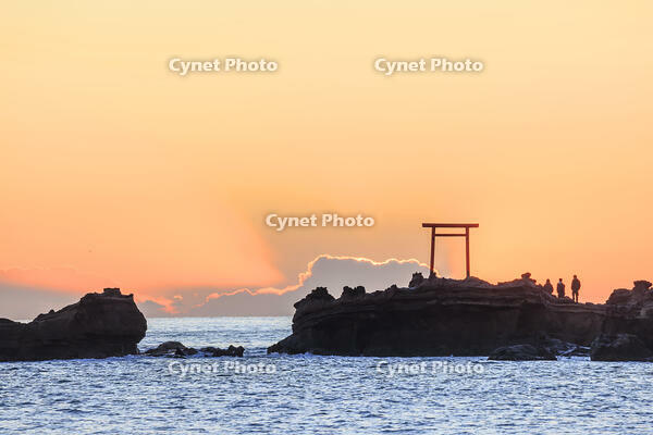 波立海岸の弁天島 [NHI110042692]