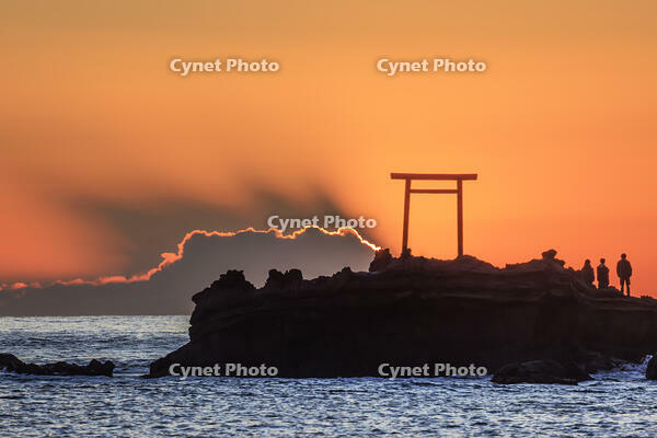波立海岸の弁天島 [NHI110042693]
