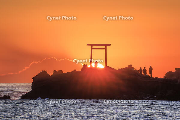波立海岸の弁天島 [NHI110042694]