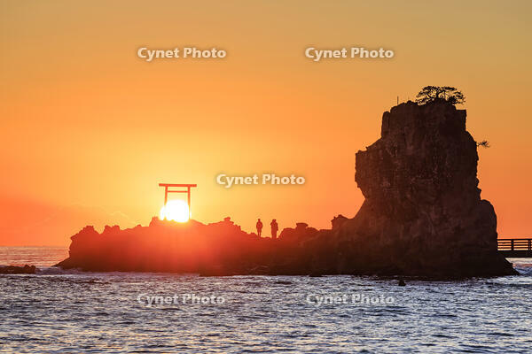 波立海岸の弁天島 [NHI110042695]