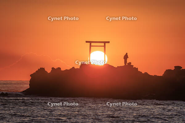 波立海岸の弁天島 [NHI110042700]