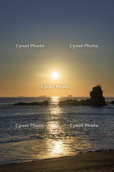 波立海岸の弁天島 [NHI110042712]