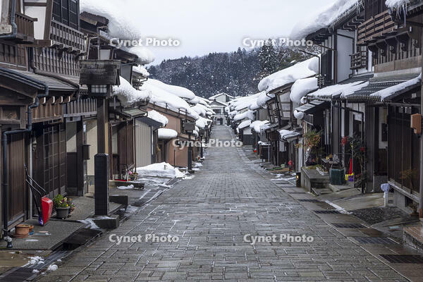 諏訪町本通り [NHI110043081]