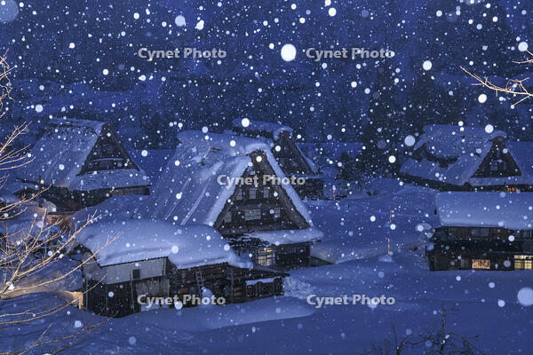 雪降る菅沼合掌造り集落の夜景 [NHI110043096]