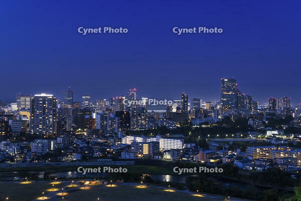 青葉山公園から望む仙台市街夜景 [NHI110043470]