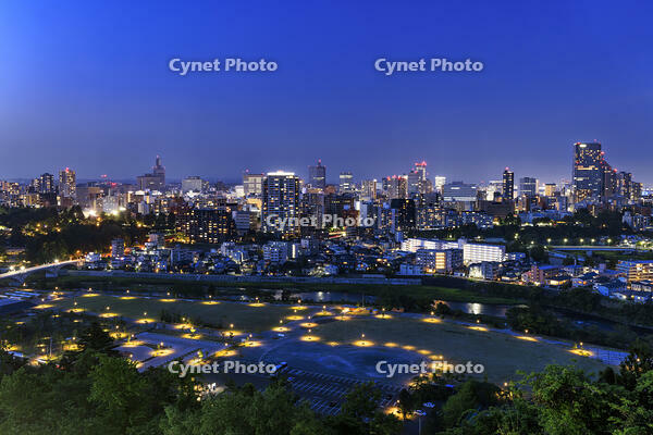 青葉山公園から望む仙台市街夜景 [NHI110043471]