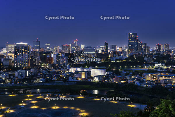 青葉山公園から望む仙台市街夜景 [NHI110043472]